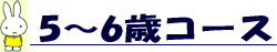 �T�`�U�΃R�[�X